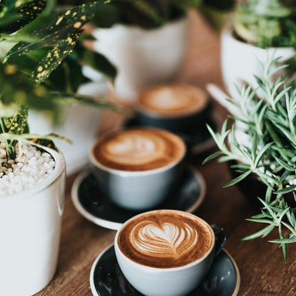 Collection image for: Espressoare si Echipamente Bar