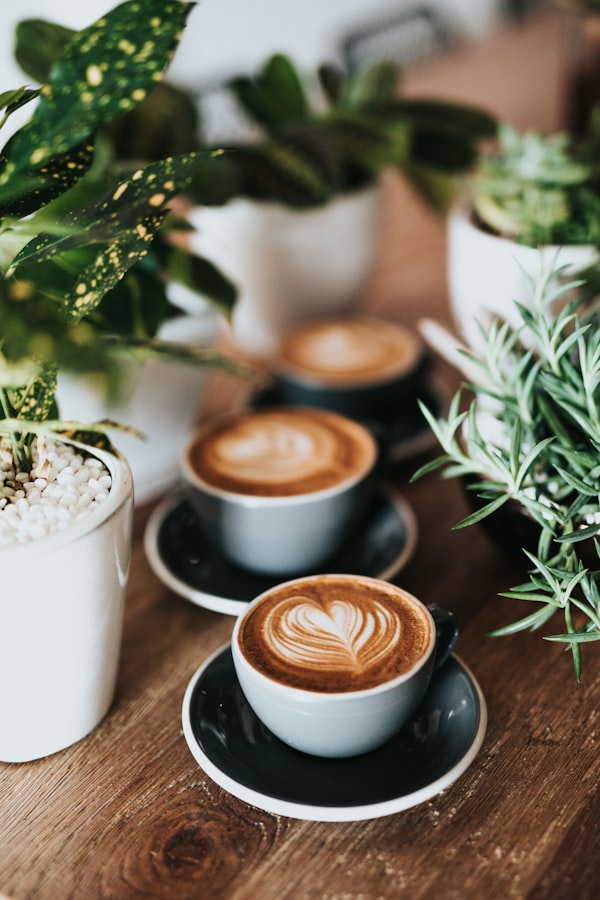 Espressoare si Echipamente Bar
